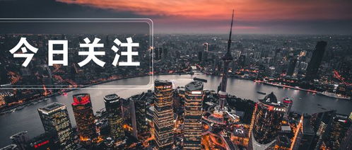 创设上海创新中介市场,服务民营企业科技成果转化